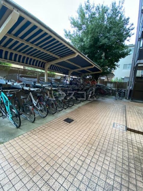 15/19 その他画像