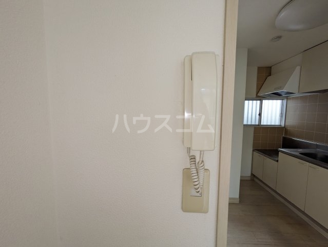 17/25 その他画像