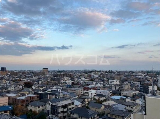 11/11 その他画像