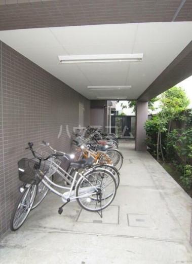 11/17 その他画像