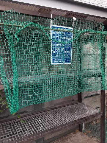 25/29 その他画像