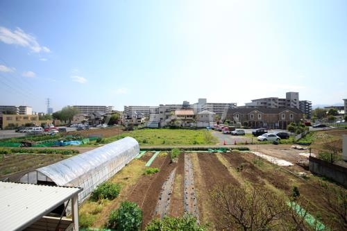 13/26 その他画像