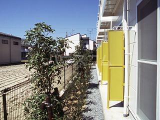 9/22 バルコニー