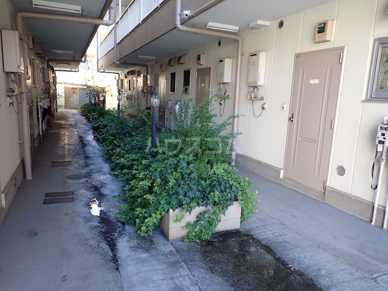 14/17 その他画像