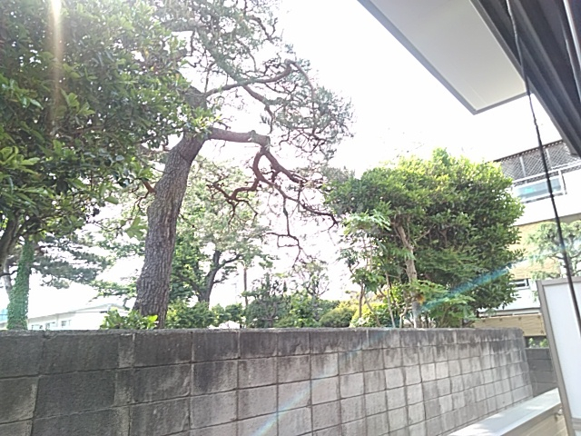 16/29 その他画像