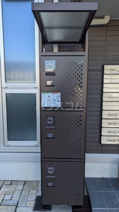 20/30 その他画像