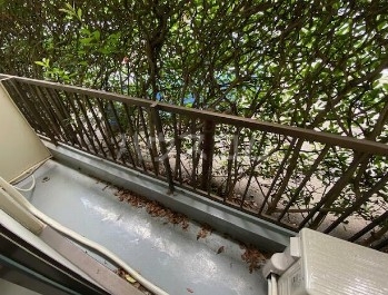 12/20 バルコニー