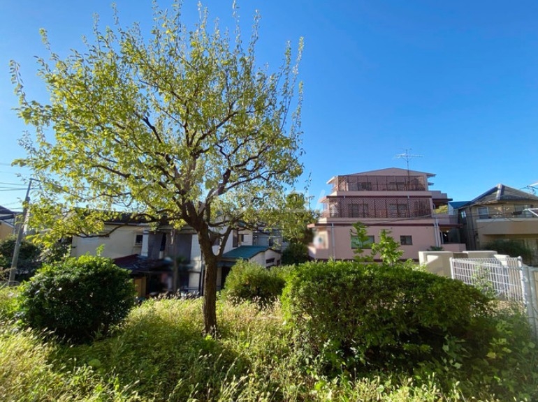 19/30 その他画像