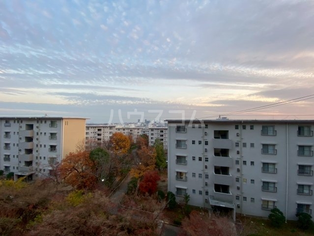 15/19 その他画像