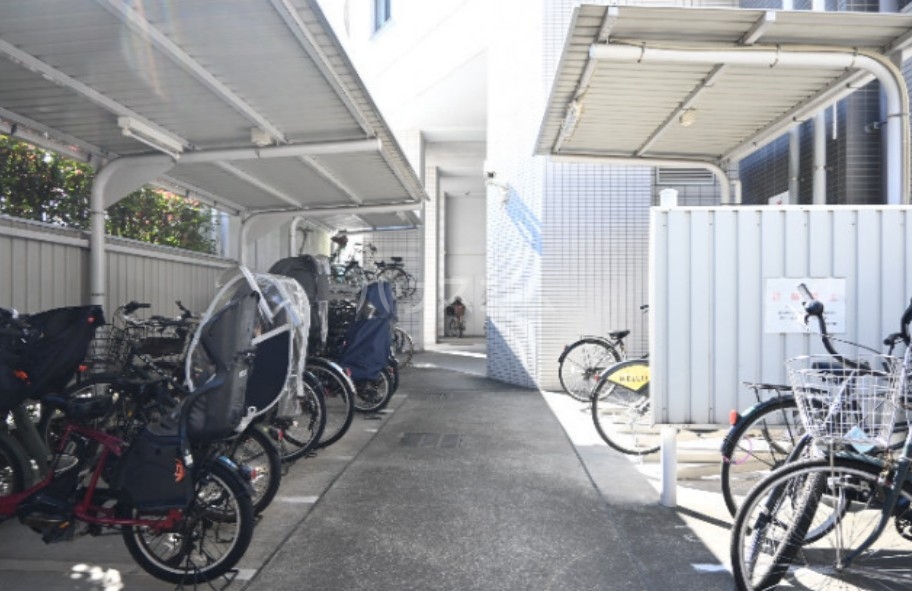 15/29 その他画像