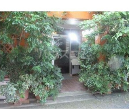 3/13 その他画像