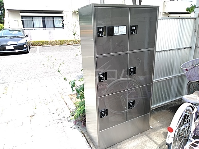 20/30 その他画像