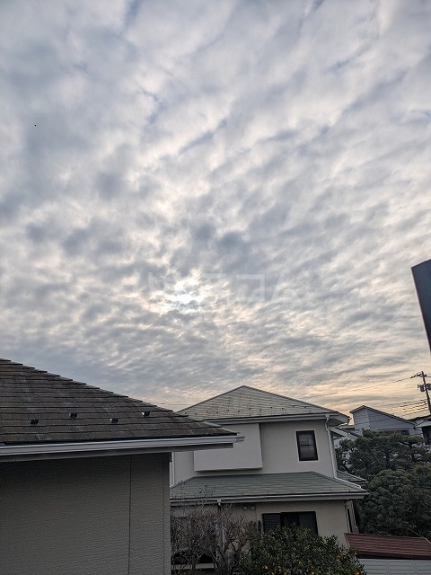 25/29 その他画像