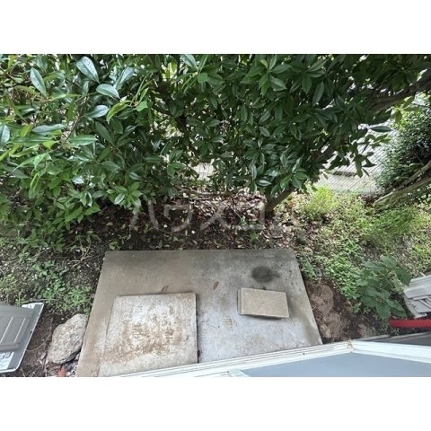 19/25 その他画像