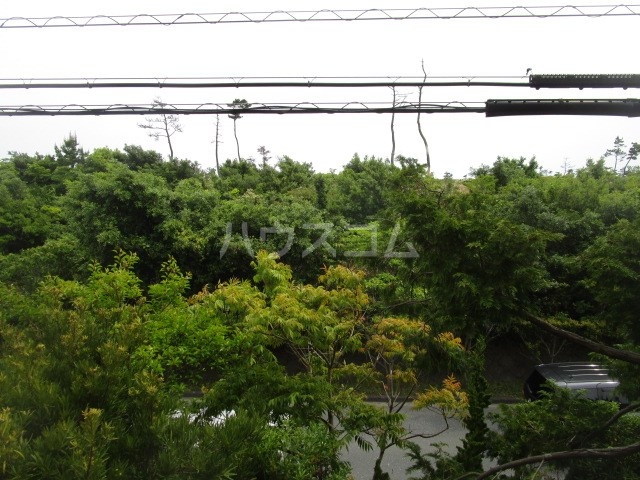 17/30 その他画像