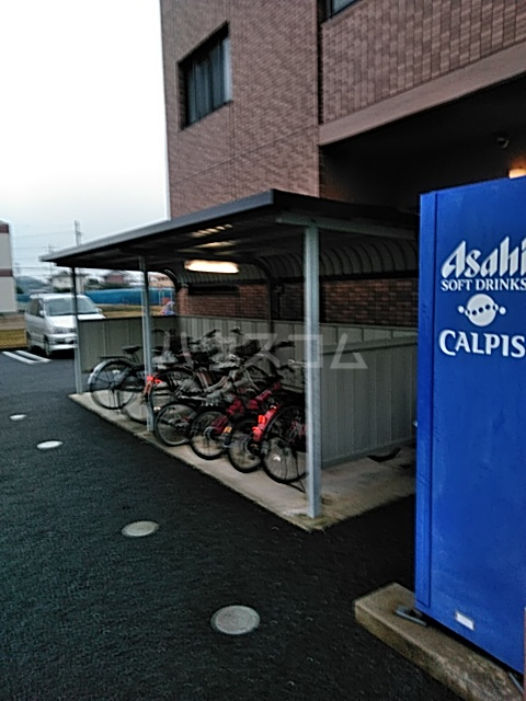 17/29 その他画像