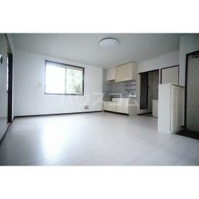 15/19 その他画像