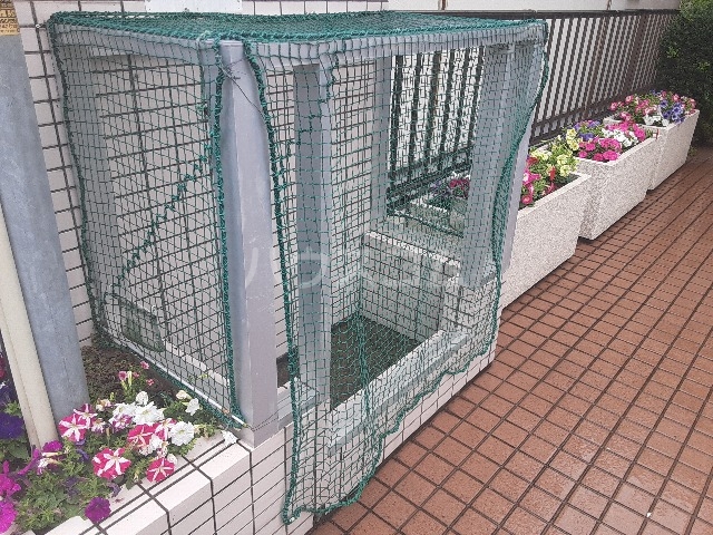 20/30 その他画像