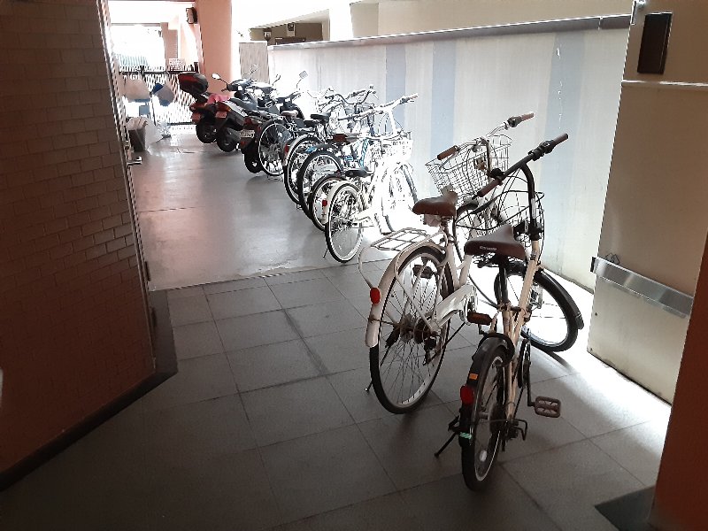 22/26 その他画像