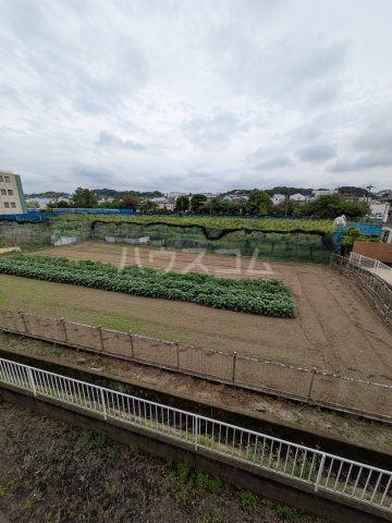 16/29 その他画像