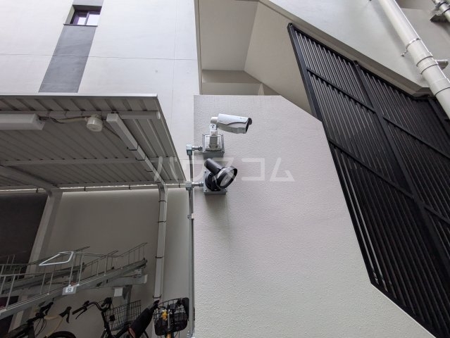 11/25 その他画像