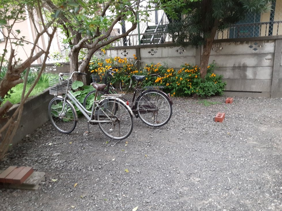 17/25 その他画像