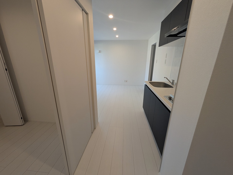 15/29 その他画像