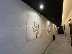 19/29 その他画像