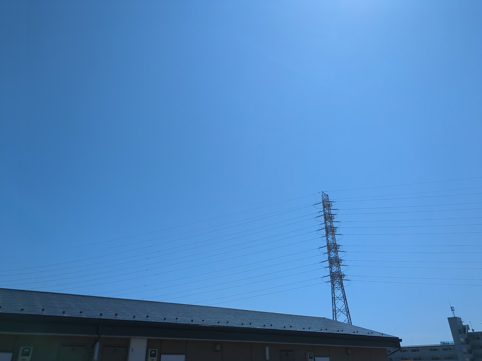 29/29 その他画像