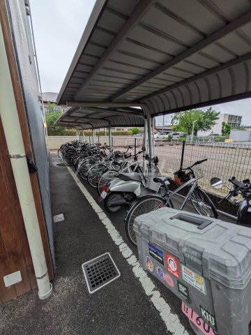 20/30 その他画像