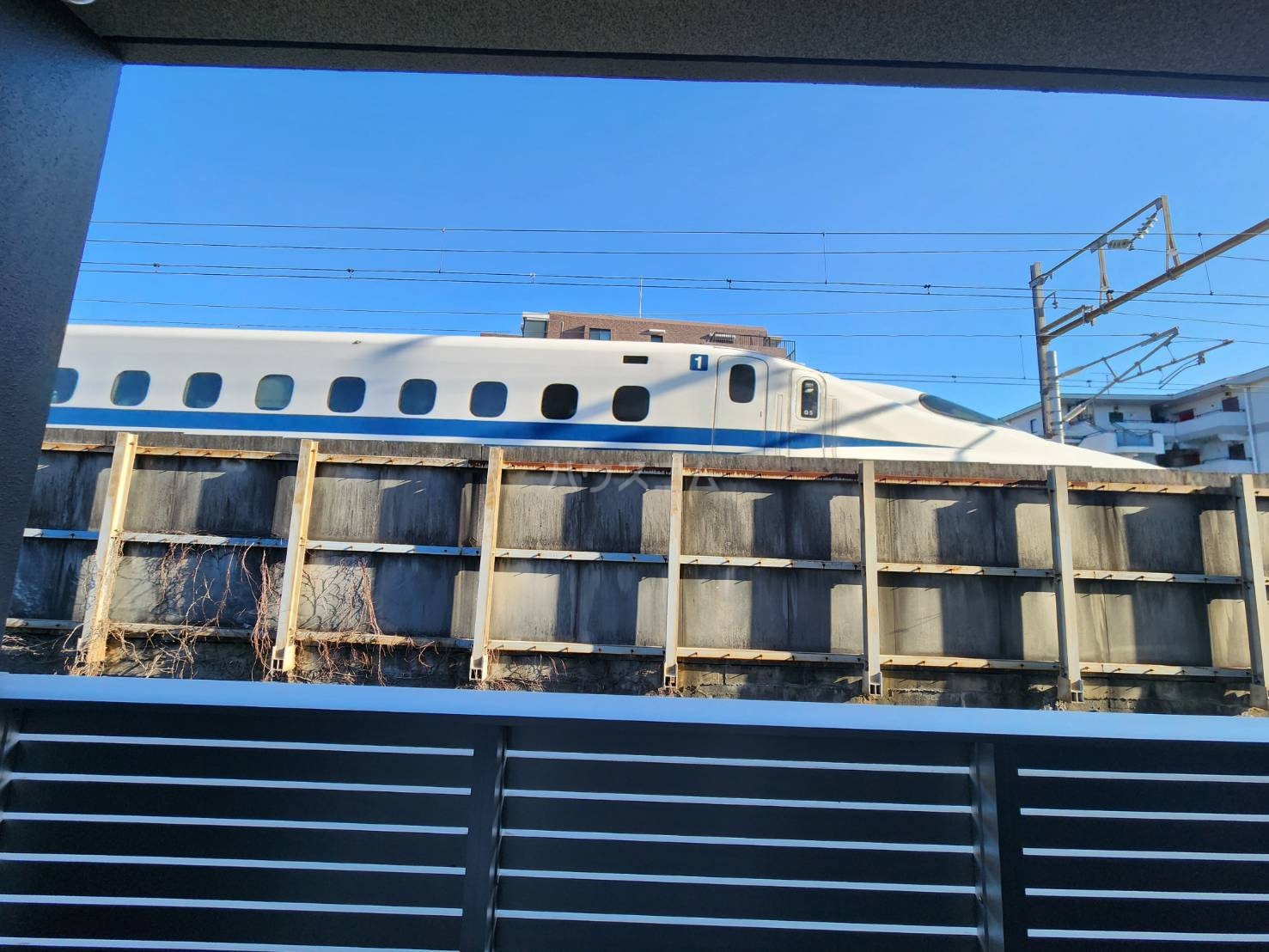 19/26 その他画像