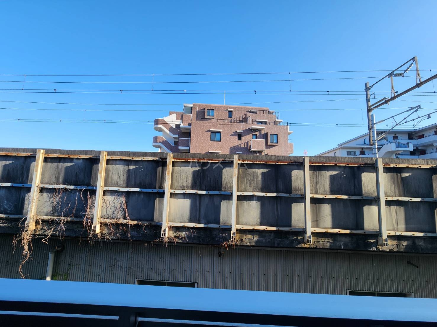 21/26 その他画像