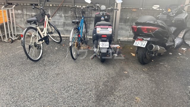 20/30 その他画像