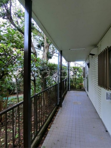 12/17 その他画像