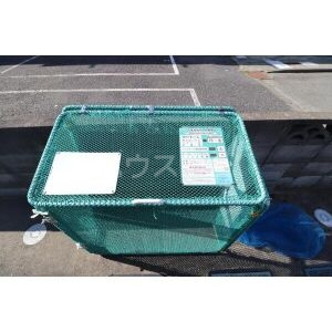 16/20 その他画像