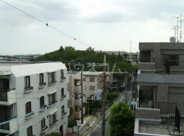 15/17 その他画像