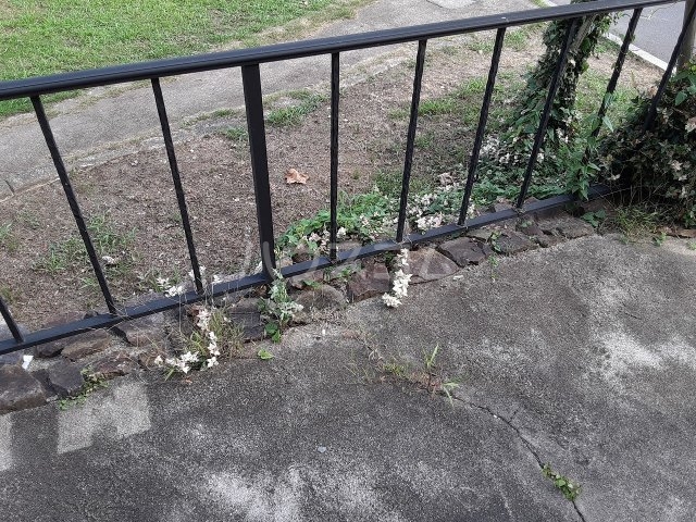 20/25 その他画像