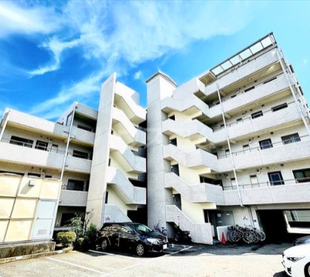 17/29 その他画像