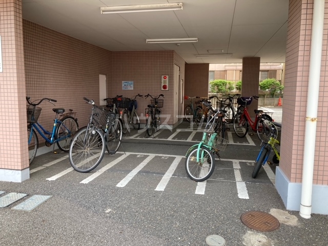 3/14 その他画像