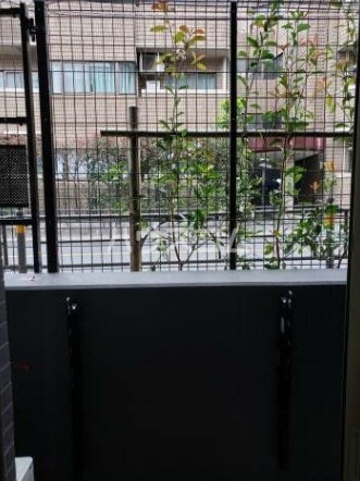 11/24 その他画像