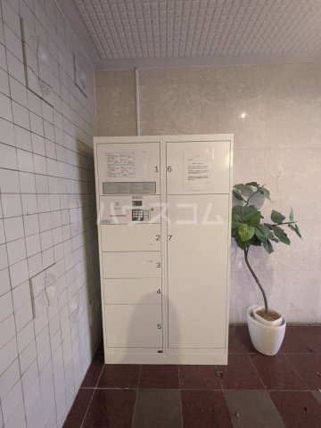 20/30 その他画像