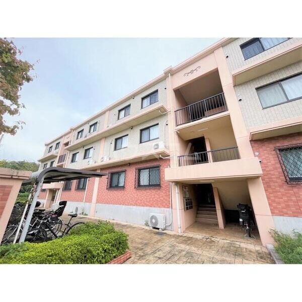 3/10 その他画像