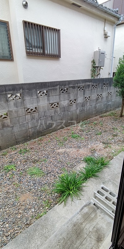 11/13 その他画像