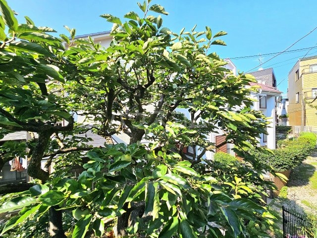 16/26 その他画像