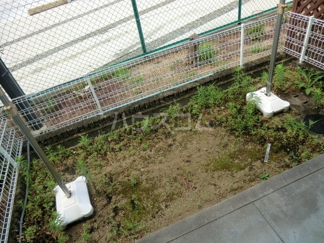 17/21 その他画像