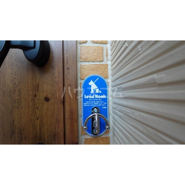 11/14 その他画像