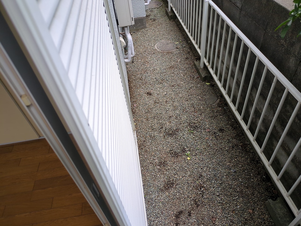 4/17 その他画像