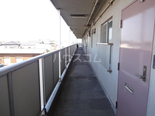 17/25 その他画像