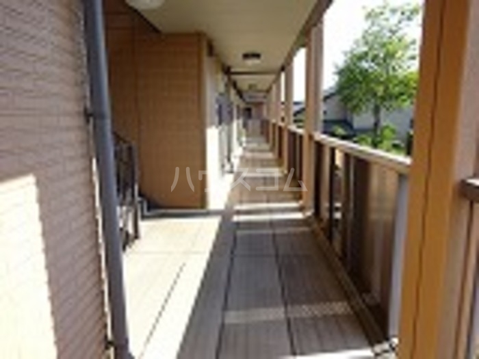 5/11 その他画像