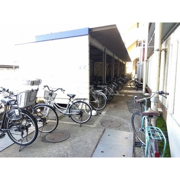 5/11 その他画像